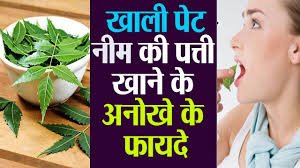 ताजी नीम की पत्तियां